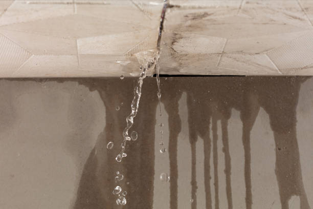 Professional Water Damage Inspection technician working in Royal City, WA